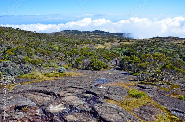 Obraz Roche écrite 11