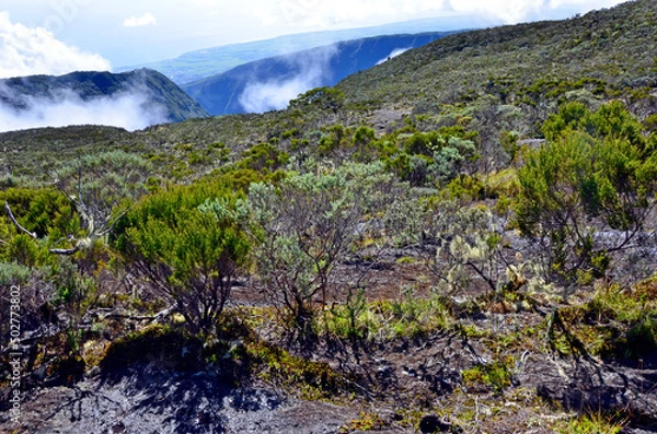 Obraz En direction de la roche écrite00