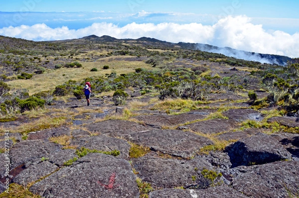 Obraz Roche écrite12