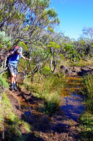 Obraz GR Réunion roche écrite00