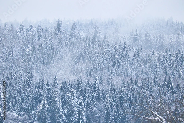 Obraz Schneelandschaft