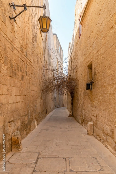 Fototapeta Narrow path between old fortress buildings with a dry tree in old Malta Capital Mdina