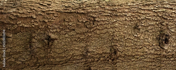 Fototapeta Embossed texture of the bark of fir. Panoramic photo of the fir-tree texture.