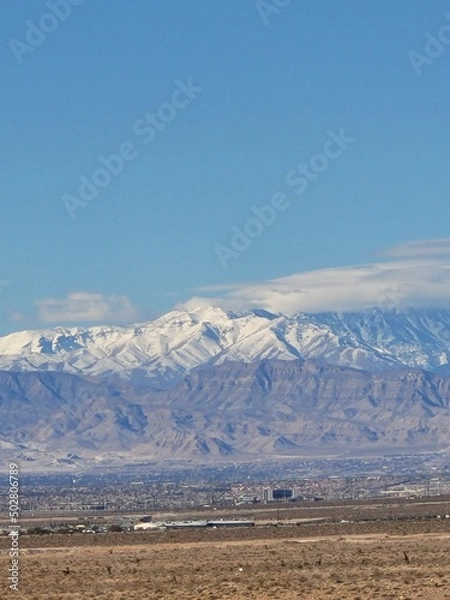 Obraz Looking Skyward