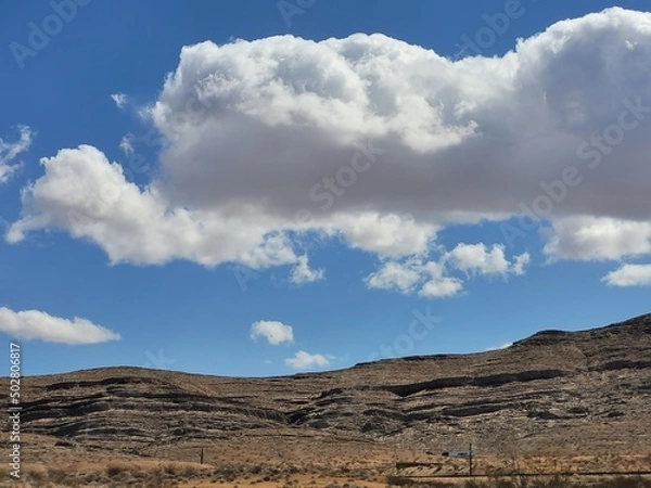 Obraz Looking Skyward