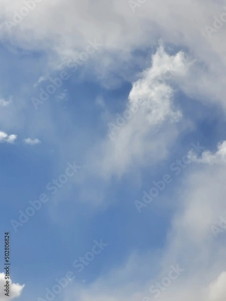 Obraz Looking Skyward