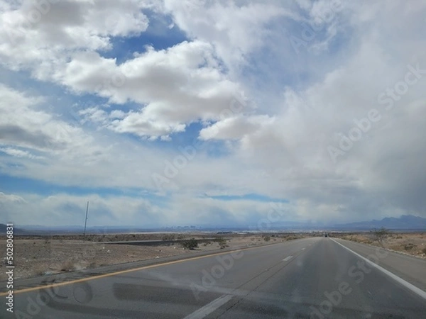 Obraz Looking Skyward