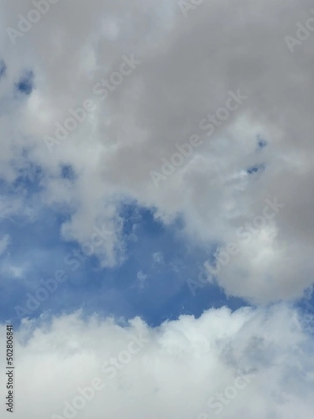 Obraz Looking Skyward