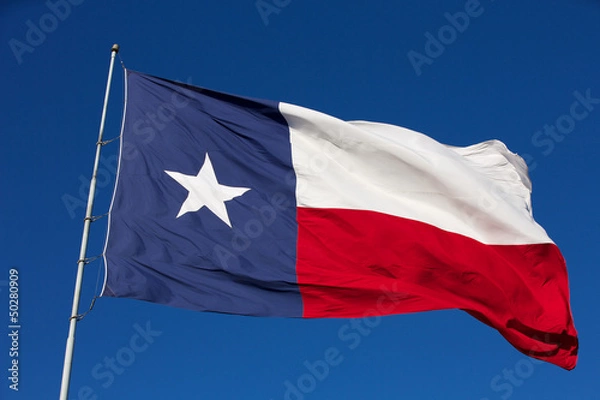 Obraz State Flag of Texas