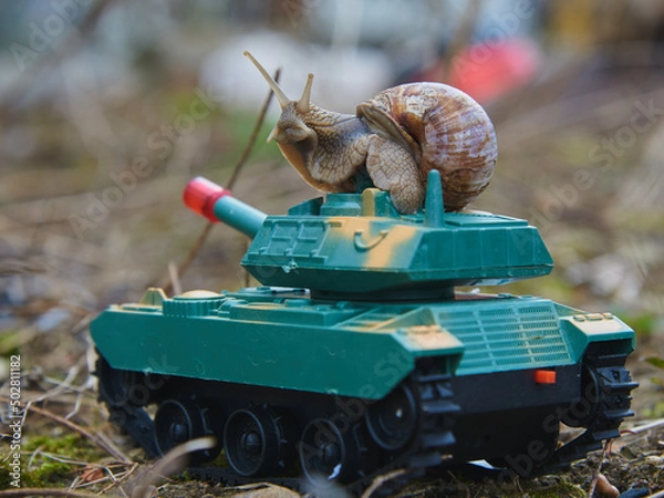 Fototapeta An ordinary garden snail on a toy tank against the background of nature.