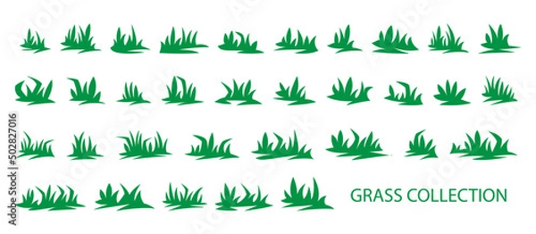 Fototapeta Green grass collection