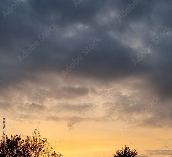 Obraz sunset over the field