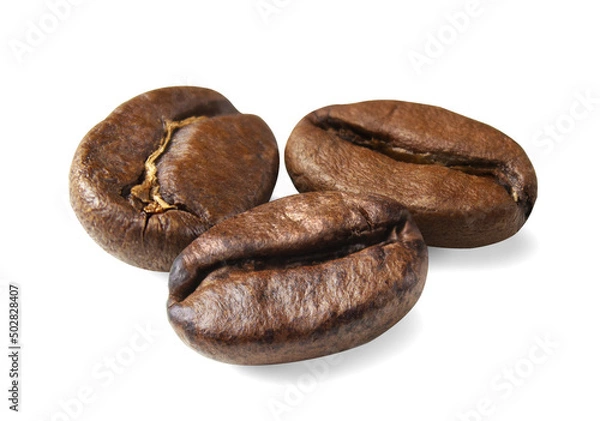 Obraz coffee beans isolated on white background
