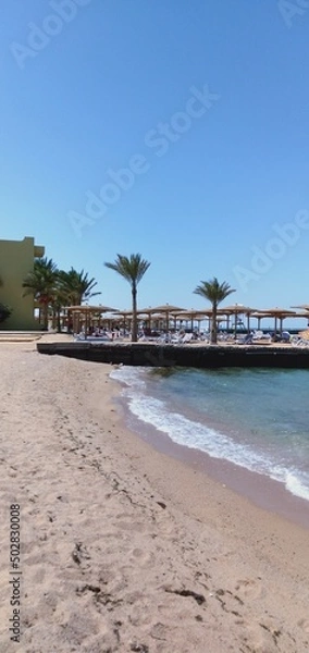 Obraz beach with palm trees