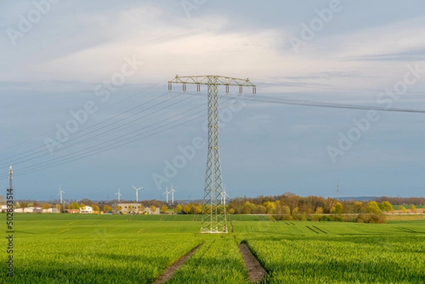 Fototapeta power lines in the countryside