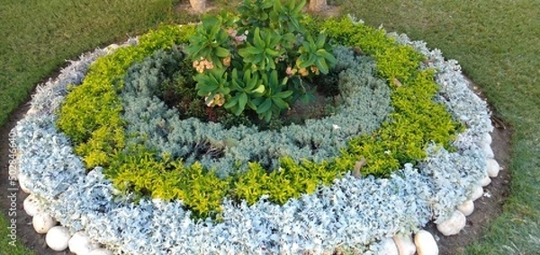 Obraz plants decoration