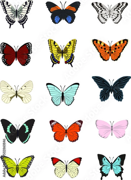 Fototapeta Collection of multicolored butterflies. Vector illustration