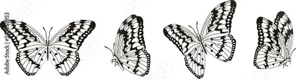 Obraz Vector set of beautiful colorful butterflies on a white background