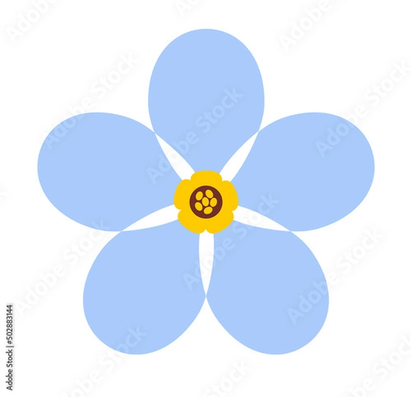 Fototapeta Forget me not. Stylized blue forget me not flower isolated on white background. Vector illustration of memory symbol.