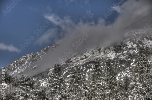 Obraz winter in the mountains