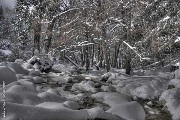 Obraz winter landscape