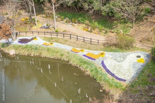 Obraz アヒルの大行進（duck）