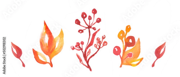 Fototapeta Autumn leaves and red rowan berries. Fall of autumn berries. Autumn branch of wild berries isolated on white. Ashberry bunch with berries in fall season