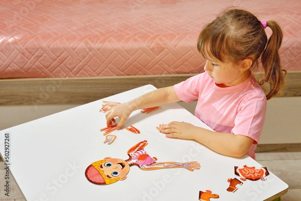 Obraz Orenburg, Russia - 01 07 2020 preschooler collects a puzzle of the structure of a person. Curious children is studying the anatomy. cardiovascular system, medicine, education. anatomy concept.