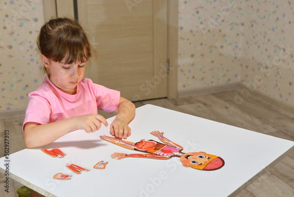 Obraz Orenburg, Russia - 01 07 2020 preschooler collects a puzzle of the structure of a person. Curious children is studying the anatomy. Anatomical structure, physiology of the heart, education
