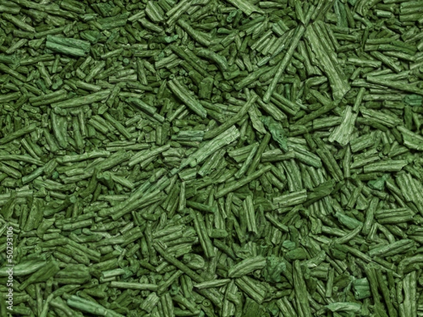 Obraz Spirulina background