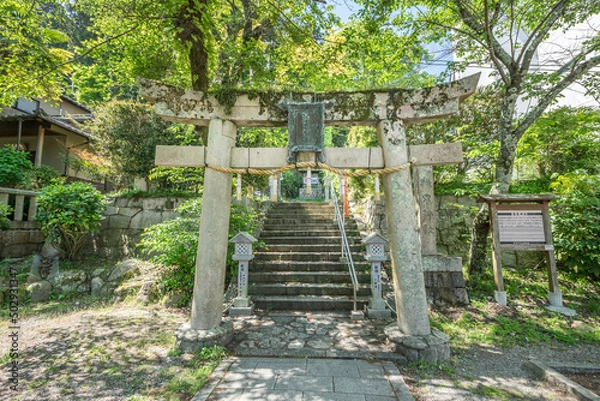 Fototapeta 温泉神社　Onsen　shrine　hot spring
