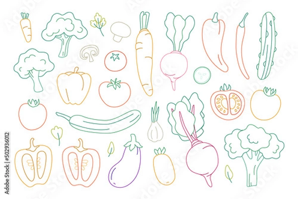 Obraz Set of vegetables. Fresh organic food drawn with contour lines on a white background. Vector illustration.