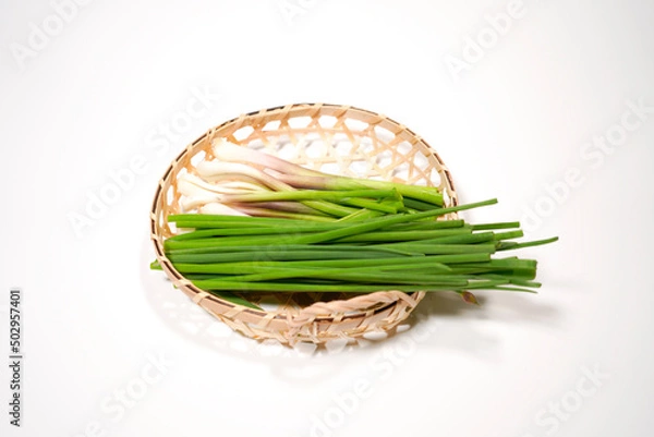 Fototapeta あさつきのイメージ画像	