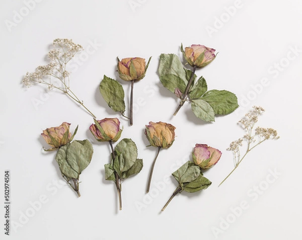 Obraz pressed roses