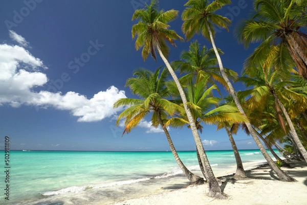 Obraz Insel in der Karibik