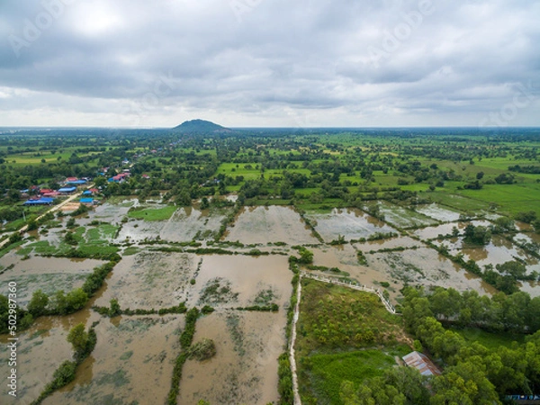 Obraz Flooded Cambodian fields