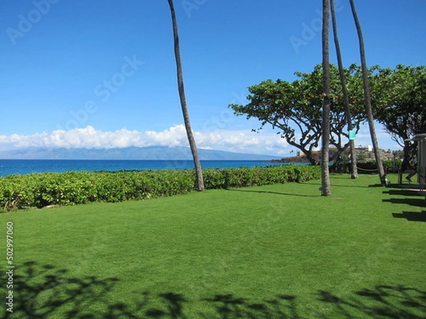 Fototapeta Trimmed green lawn, a hedge, deep blue sea, clear blue sky. View of Molokai island beneath white clouds. Some tree trunks and treetops  to the left. Kaanapali, Maui, Hawaii.