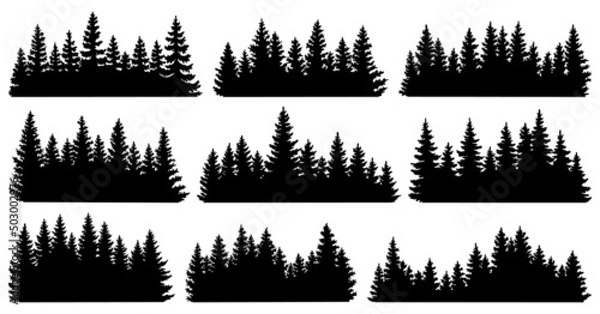 Fototapeta Fir trees silhouettes. Coniferous spruce horizontal background patterns, black evergreen woods vector illustration. Beautiful hand drawn panorama with treetops forest