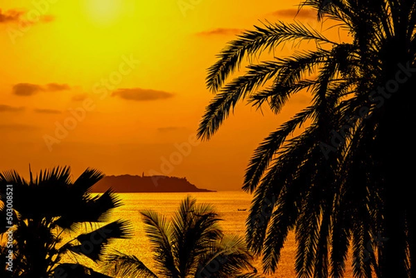 Obraz Tropical sunrise on the beach – Silhouettes of coconut palm trees, view on Gorée Island, Dakar, Senegal