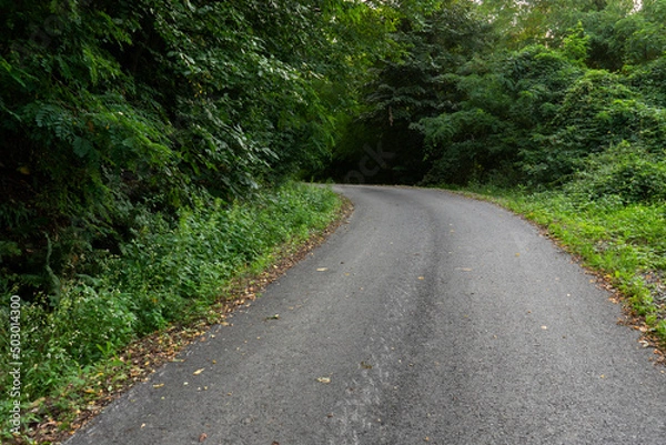 Obraz Road in the middle of nowhere