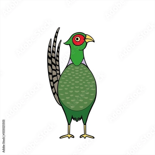 Obraz Pheasant 20000px