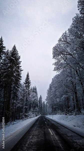 Obraz road in winter