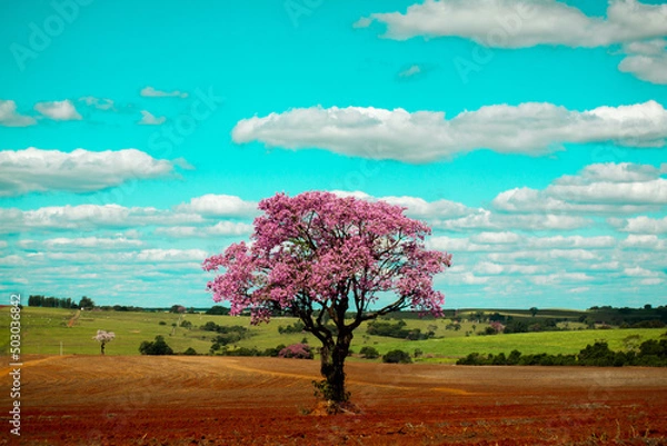 Obraz O agronegócio produzindo e respeitando a natureza