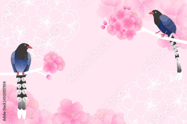 Fototapeta vector background with birds (Taiwan Blue Magpie) , cherry blossom in pink colors