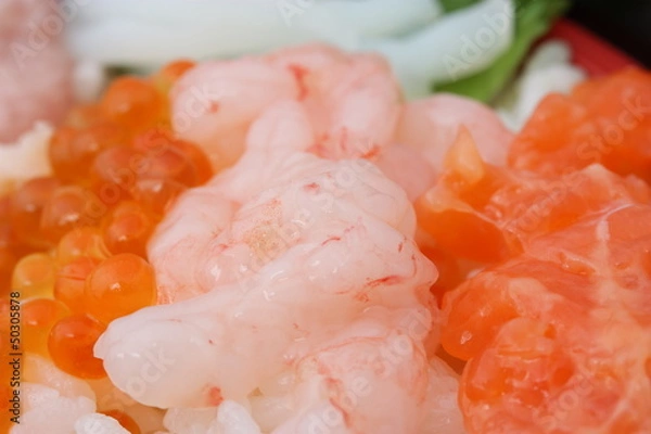 Fototapeta 海鮮丼