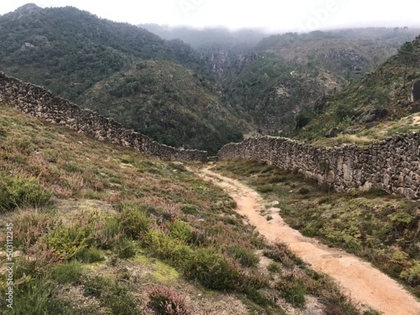 Fototapeta view from the hill