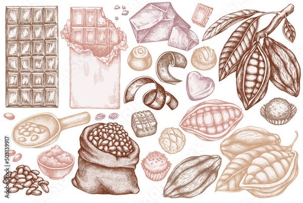 Fototapeta Vector set of hand drawn pastel cocoa beans, cocoa, chocolate, chocolate candies