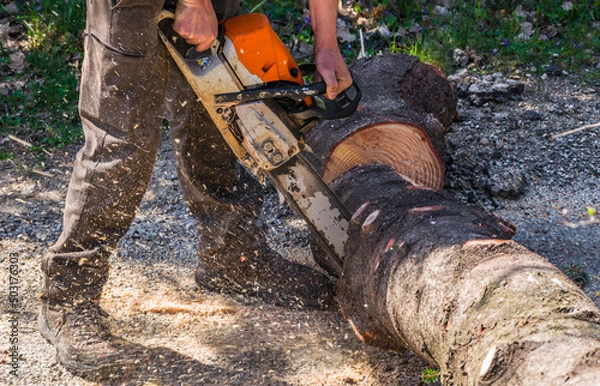 Fototapeta bücheronnage