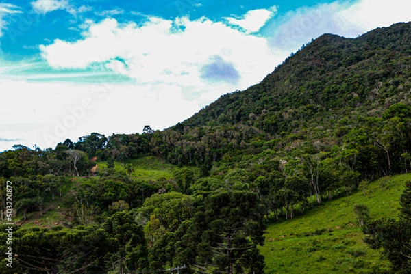 Fototapeta LANDSCAPE