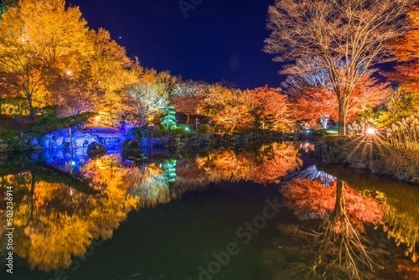 Obraz 桜山公園のライトアップ風景